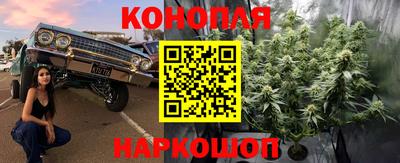гашик Краснодар