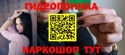 гашик Краснодар