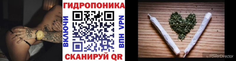 Каннабис планчик Изобильный